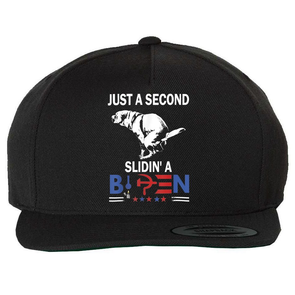 Just A Second Slidin' A Biden Wool Snapback Cap