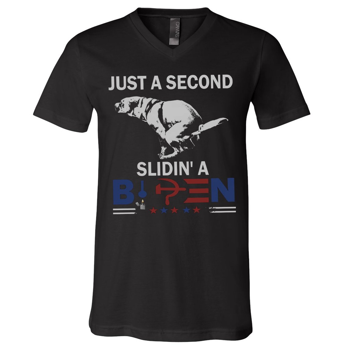 JUST A SECOND SLIDIN'A BIDEN V-Neck T-Shirt