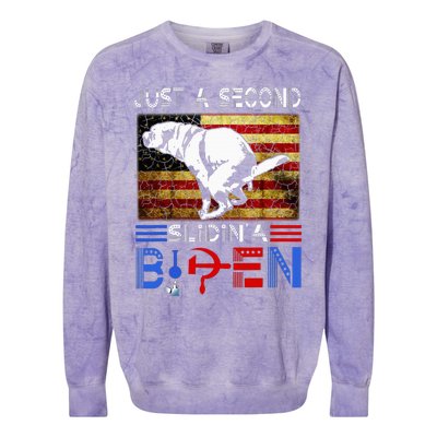 Just A Second Slidin A Biden Dog American Usa Flag Colorblast Crewneck Sweatshirt