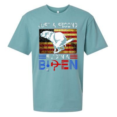 Just A Second Slidin A Biden Dog American Usa Flag Sueded Cloud Jersey T-Shirt