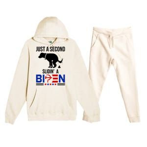 Just A Second Slidin A Biden Funny Dog Premium Hooded Sweatsuit Set