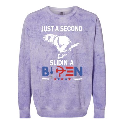 Just A Second Slidin A Biden Funny Dog Colorblast Crewneck Sweatshirt