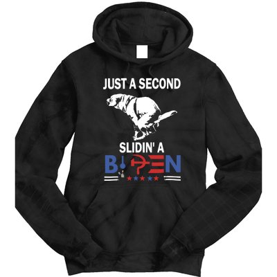 Just A Second Slidin A Biden Funny Dog Tie Dye Hoodie