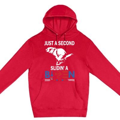 Just A Second Slidin A Biden Funny Dog Premium Pullover Hoodie