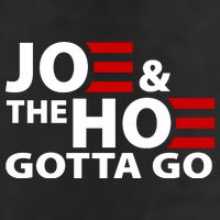 Joe And The Ho Gotta Gotta Go Funny Anti Biden Harris Hat