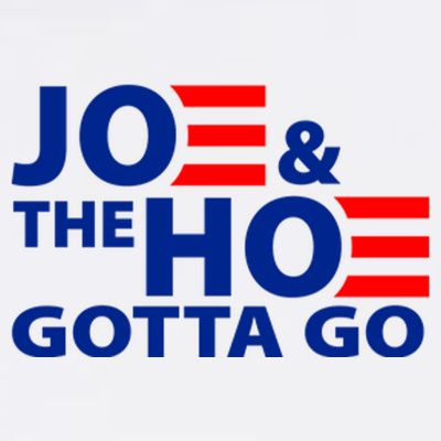 Joe And The Ho Gotta Gotta Go Funny Anti Biden Harris T-Shirt