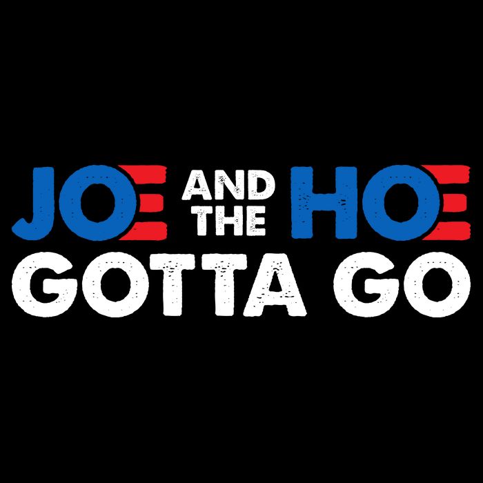 Joe And The Ho Gotta Go Pom Pom 12in Knit Beanie