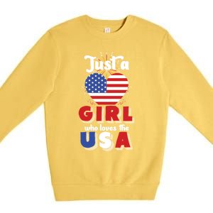 Just A United States Us Flag American 4th Of July Funny Gift Premium Crewneck Sweatshirt