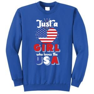 Just A United States Us Flag American 4th Of July Funny Gift Sweatshirt