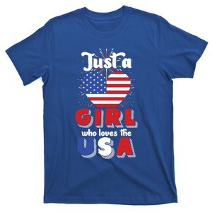 Just A United States Us Flag American 4th Of July Funny Gift T-Shirt