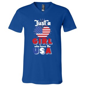 Just A United States Us Flag American 4th Of July Funny Gift V-Neck T-Shirt