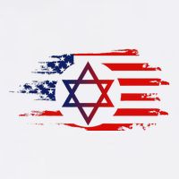 Jewish American Usa Flag With Star Of David Israel Long Sleeve Shirt