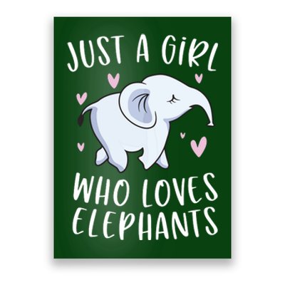 Just A Who Loves Elephants Funny Elephant Poster