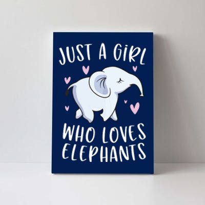 Just A Who Loves Elephants Funny Elephant Canvas