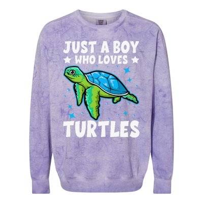 Just A Who Loves Turtles Lover Gifts Sea Ocean Turtle Colorblast Crewneck Sweatshirt