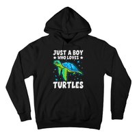 Just A Who Loves Turtles Lover Gifts Sea Ocean Turtle Hoodie