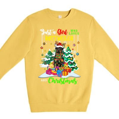 Just A Who Loves Rottweiler And Christmas Santa Dog Cute Gift Premium Crewneck Sweatshirt