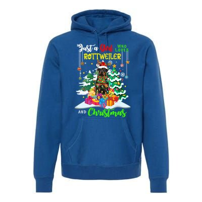 Just A Who Loves Rottweiler And Christmas Santa Dog Cute Gift Premium Hoodie