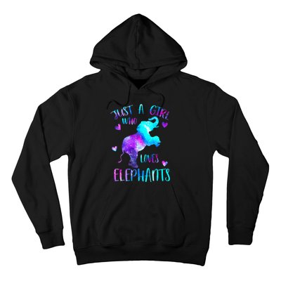 Just A Who Loves Elephants Galaxy Space Elephant Lover Hoodie