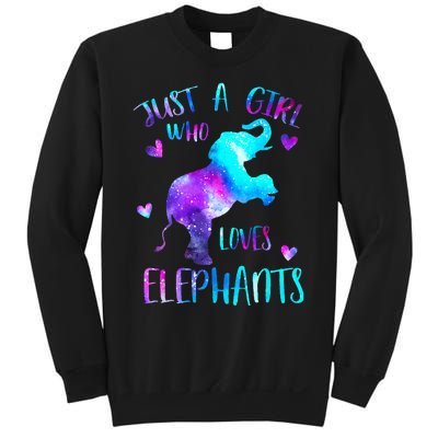 Just A Who Loves Elephants Galaxy Space Elephant Lover Sweatshirt