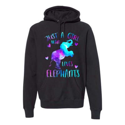 Just A Who Loves Elephants Galaxy Space Elephant Lover Premium Hoodie