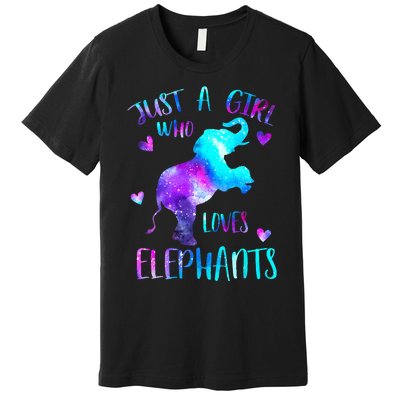 Just A Who Loves Elephants Galaxy Space Elephant Lover Premium T-Shirt