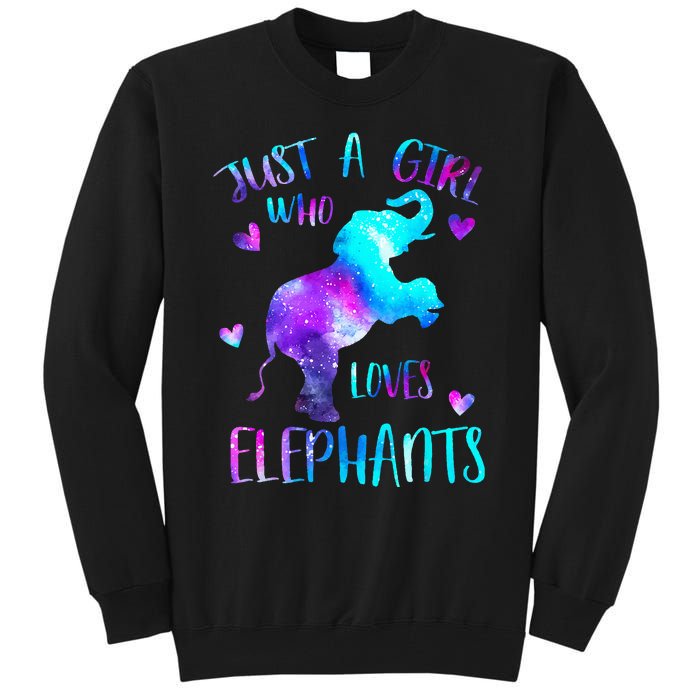 Just A Who Loves Elephants Galaxy Space Elephant Lover Tall Sweatshirt