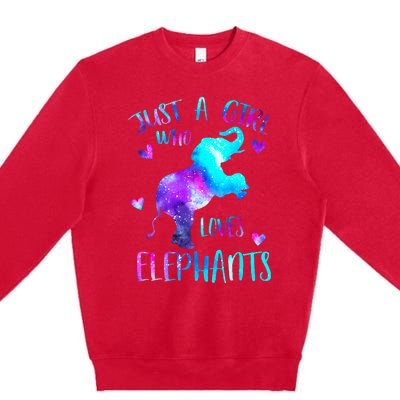 Just A Who Loves Elephants Galaxy Space Elephant Lover Premium Crewneck Sweatshirt