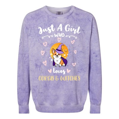 Just A Who Loves Corgis And Witches Cute Gift Colorblast Crewneck Sweatshirt