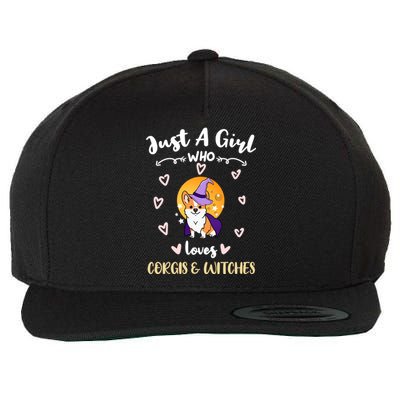 Just A Who Loves Corgis And Witches Cute Gift Wool Snapback Cap