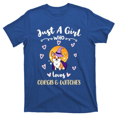 Just A Who Loves Corgis And Witches Cute Gift T-Shirt