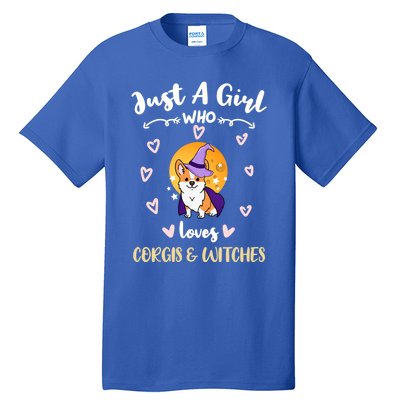 Just A Who Loves Corgis And Witches Cute Gift Tall T-Shirt