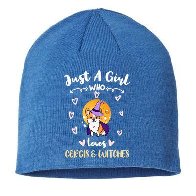 Just A Who Loves Corgis And Witches Cute Gift Sustainable Beanie