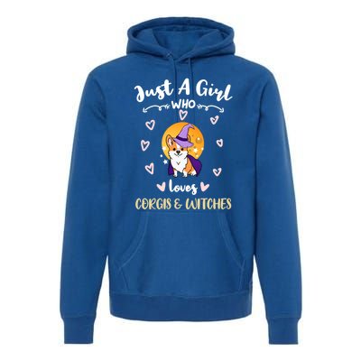 Just A Who Loves Corgis And Witches Cute Gift Premium Hoodie