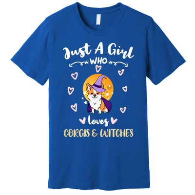 Just A Who Loves Corgis And Witches Cute Gift Premium T-Shirt