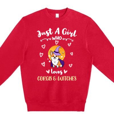 Just A Who Loves Corgis And Witches Cute Gift Premium Crewneck Sweatshirt