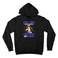 Just A Who Loves Anime Ra And Gaming Funny Boys Gamer Hoodie