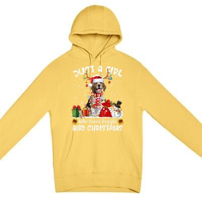 Just A Who Loves Beagles Christmas Gift Premium Pullover Hoodie