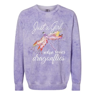 Just A Who Loves Dragonflies Entomologist Gift Colorblast Crewneck Sweatshirt