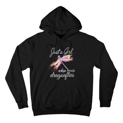 Just A Who Loves Dragonflies Entomologist Gift Hoodie