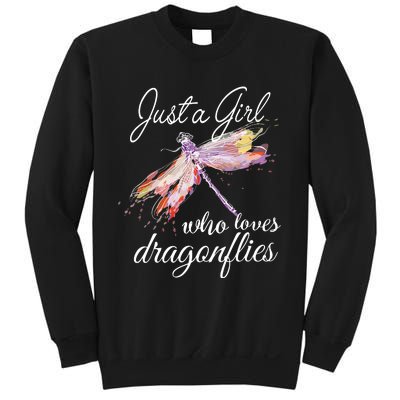 Just A Who Loves Dragonflies Entomologist Gift Sweatshirt