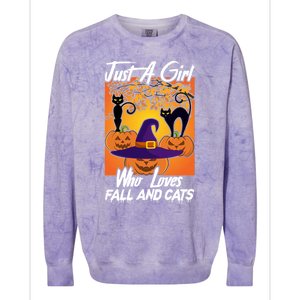 Just A Who Loves Fall And Cats Halloween Costume Gift Colorblast Crewneck Sweatshirt