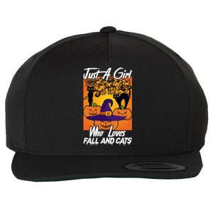 Just A Who Loves Fall And Cats Halloween Costume Gift Wool Snapback Cap