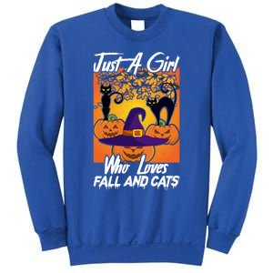 Just A Who Loves Fall And Cats Halloween Costume Gift Sweatshirt