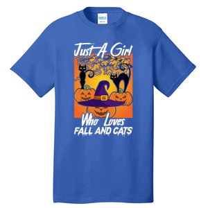 Just A Who Loves Fall And Cats Halloween Costume Gift Tall T-Shirt