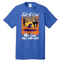 Just A Who Loves Fall And Cats Halloween Costume Gift Tall T-Shirt