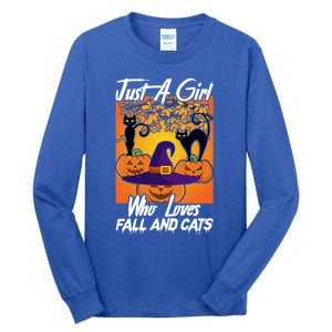 Just A Who Loves Fall And Cats Halloween Costume Gift Tall Long Sleeve T-Shirt