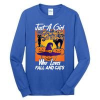 Just A Who Loves Fall And Cats Halloween Costume Gift Tall Long Sleeve T-Shirt