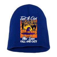 Just A Who Loves Fall And Cats Halloween Costume Gift Short Acrylic Beanie