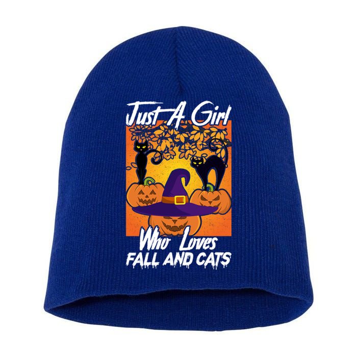 Just A Who Loves Fall And Cats Halloween Costume Gift Short Acrylic Beanie